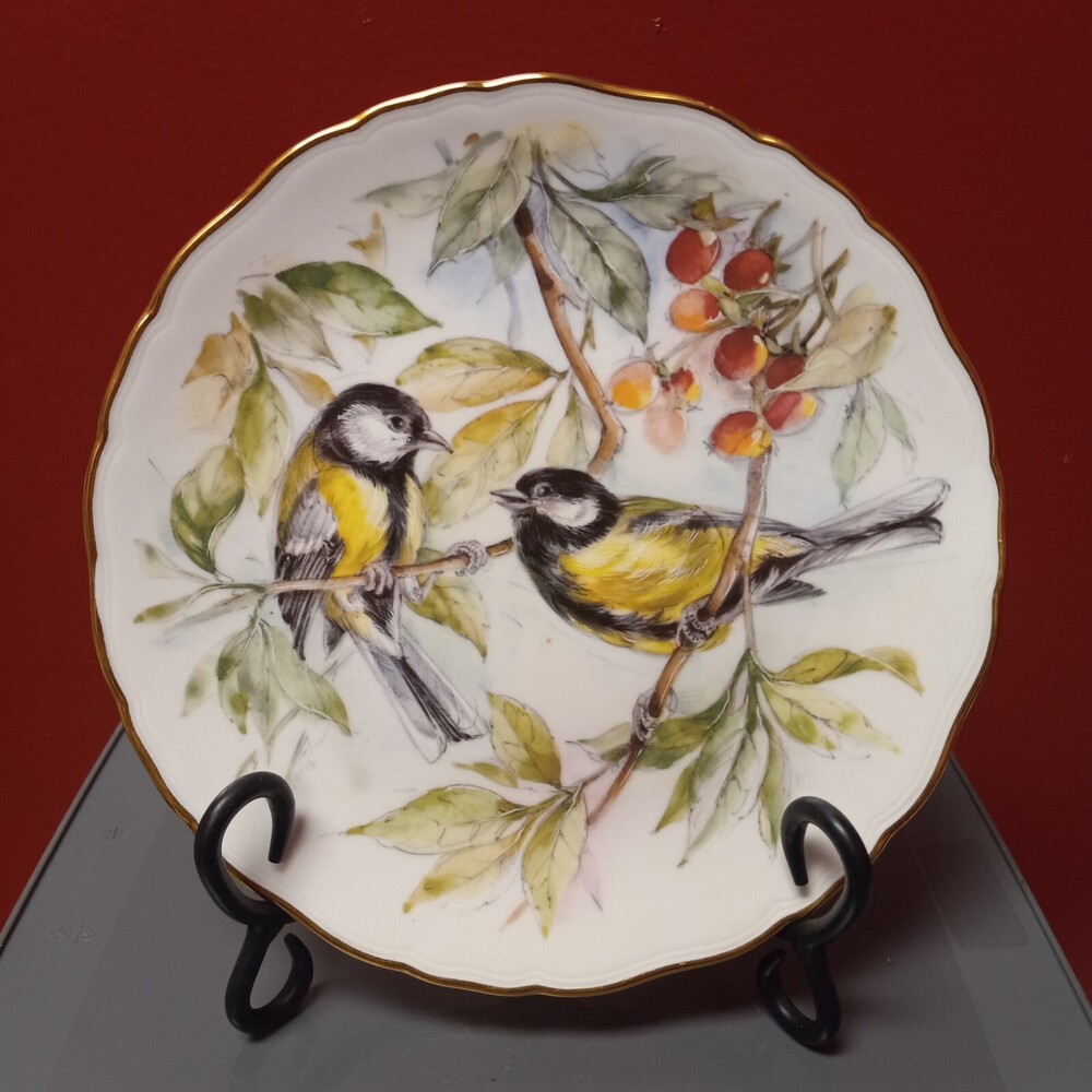 Vintage Royal Albert Garden Bird Series Collector Plate....GREAT FIND